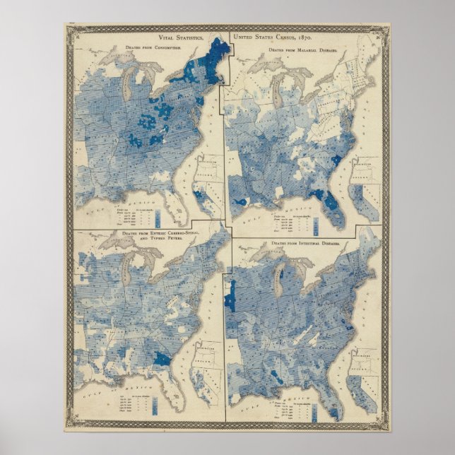 Poster Estatísticas vitais, censo dos Estados Unidos (Frente)