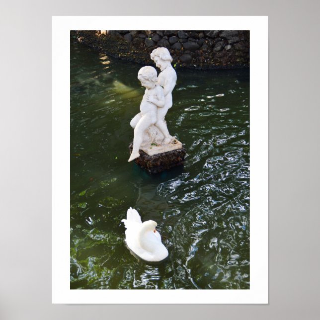 Poster Estátua e cisne na Madeira (Frente)