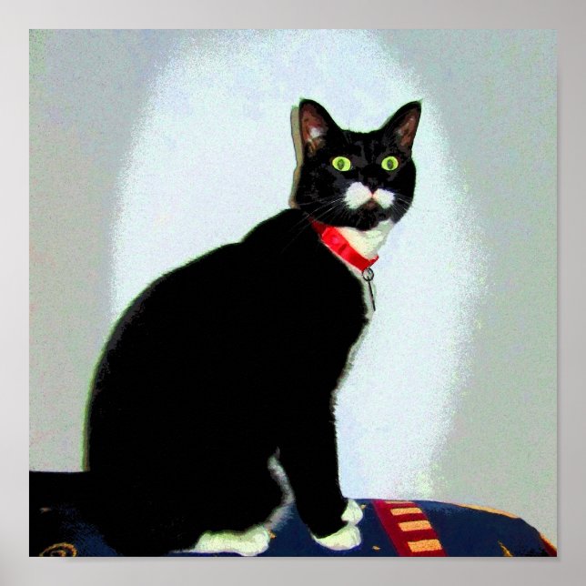 Poster Estátua Lucy (Frente)