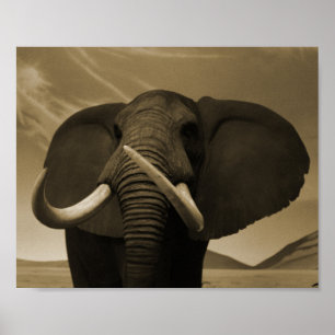 Pôster Estatura majestosa