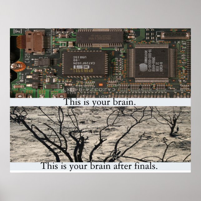 Pôster Este é o seu cérebro. (Frente)