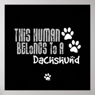 Poster Este Humano Pertence a um Dachshund