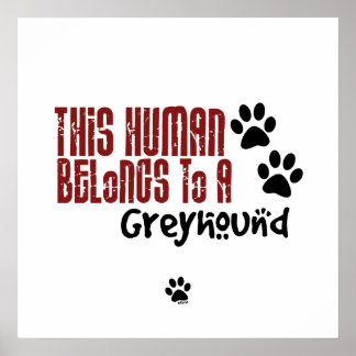 Pôster Este Humano Pertence a um Greyhound