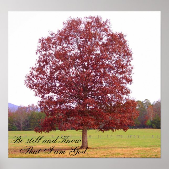 Pôster Esteja (Frente)