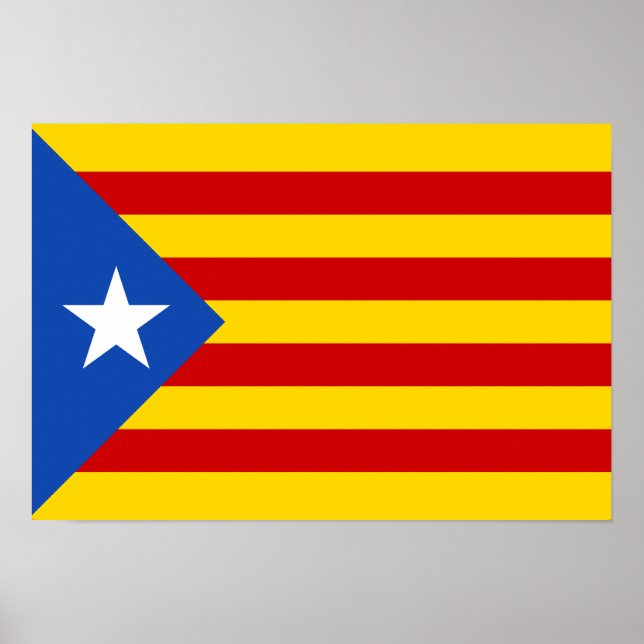 Poster Estelada (Frente)