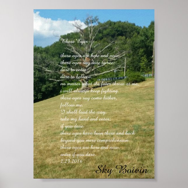 Pôster Estes olhos (Frente)