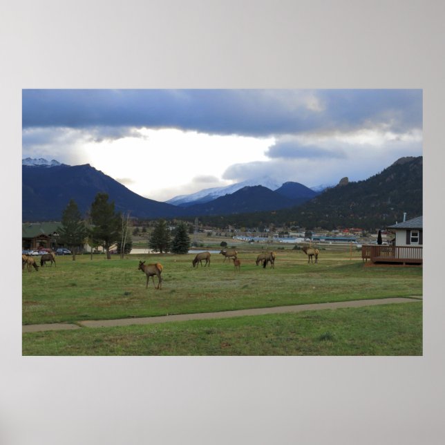 Pôster Estes Park, Co (Frente)