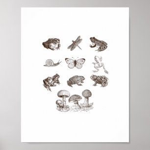 Poster Estética Cottagecore Cogumelo Academia Sapo Gobli
