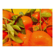 Estética da Fruta de laranja mole