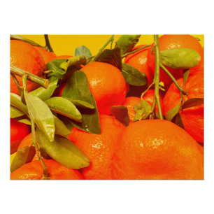 Pôster Estética da Fruta de laranja mole