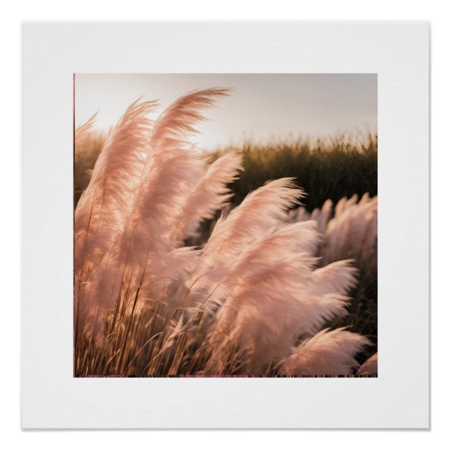 Pôster Estética Pam-Pam Rosa (Frente)