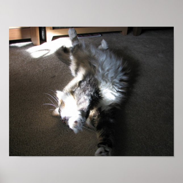 Pôster Esticar.... (Frente)