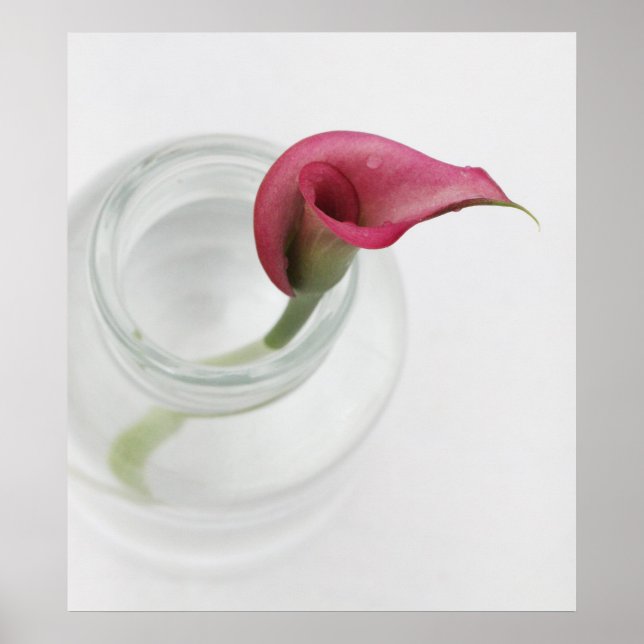 Poster Estilidade (Frente)