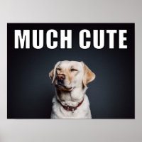 Estilo de Memória Muito Bonito de Foto Pet Persona