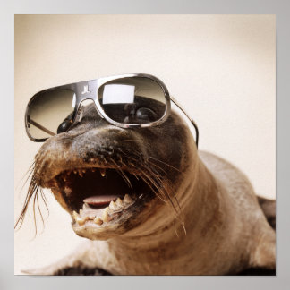 Poster estilo de selo