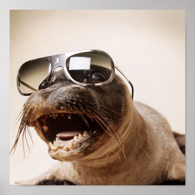 Poster estilo de selo (Frente)