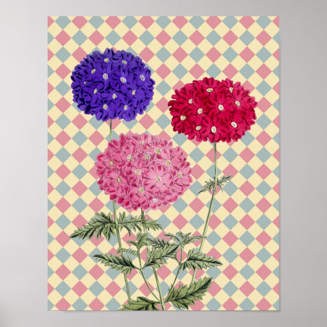 Poster Estilo de Vintagem Retroativa Hydrangea Flower Art (Frente)