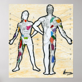 Pôster Estilo Peter Max desenhando um gráfico de músculos