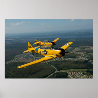 Poster Estilo T6 Voador de Formação