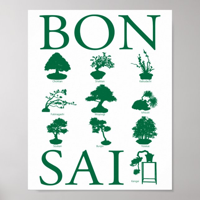 Poster Estilos Básicos da Árvore Bonsai (Frente)