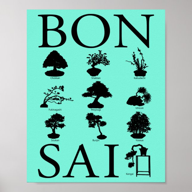Poster Estilos Básicos da Árvore Bonsai (Frente)
