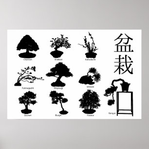 Poster Estilos Básicos da Árvore Bonsai 10