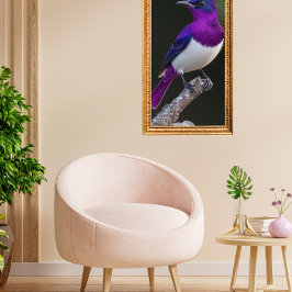 Poster Estorninho-de-dorso-roxo