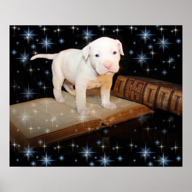 Pôster Estou aprendendo a ler a Bíblia (Frente)