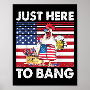 Poster Estou Aqui Só Pelo Estrondo Humor Divertido de Fog