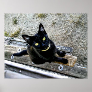 Poster Estou esperando