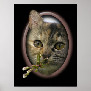 Poster Estou pensando em você