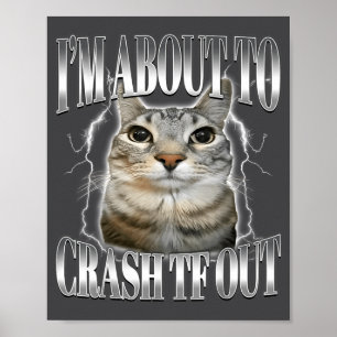 Poster Estou Prestes a Desmaiar Gato Engraçado Olhando Fi