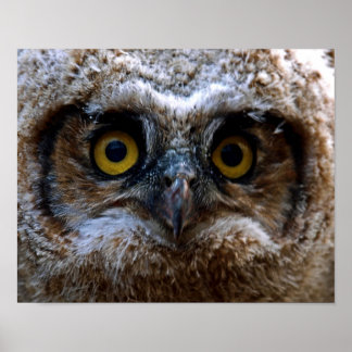 Pôster Estou te observando