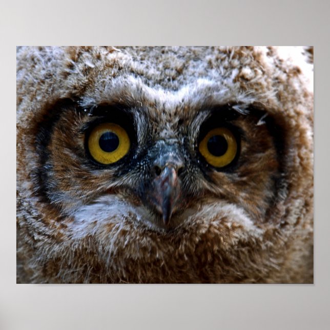 Pôster Estou te observando (Frente)