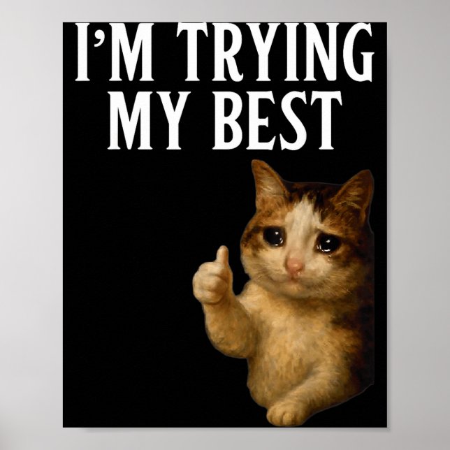 Poster Estou Tentando Ao Máximo Meme de Gato Chorando Eng (Frente)