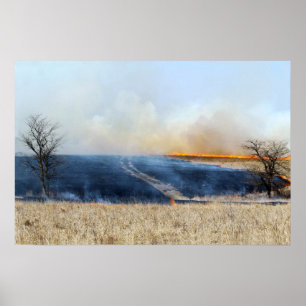 Poster Estrada através da queimadura 24 x 16 da pradaria