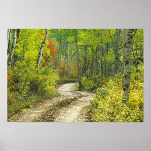 Pôster Estrada com cores de outono e espaços em Kebler