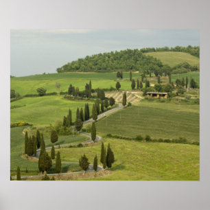 Pôster Estrada de Pienza a Montepulciano,