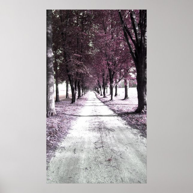 Pôster estrada de sonho (Frente)