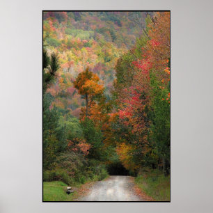 Poster Estrada do País