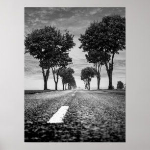 Poster Estrada do País com Perspectiva Vinculada a Árvore