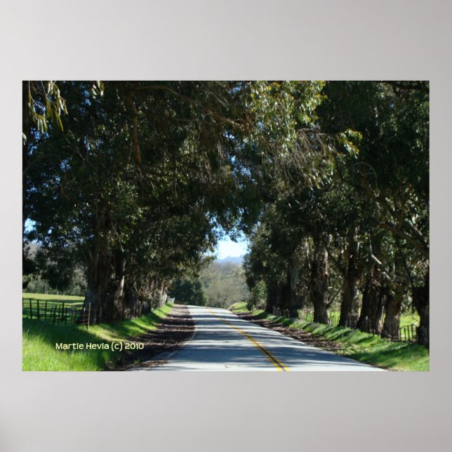 Pôster Estrada do País em Linha de Árvore (Frente)