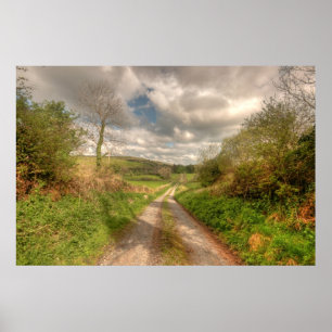 Pôster Estrada irlandesa rural