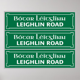 Poster Estrada Leighlin