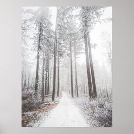 Poster Estrada misteriosa numa floresta de neblina congel