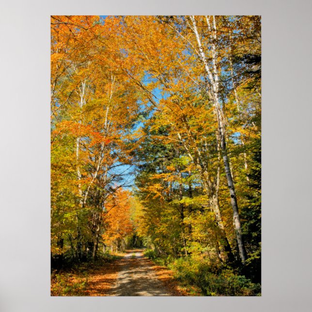 Poster Estrada Rural Cores de Outono New Hampshire (Frente)