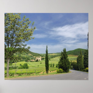 Poster Estrada rural curvando entre ciprestes em