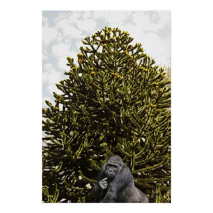 Pôster Estranho o suficiente para confundir um macaco.