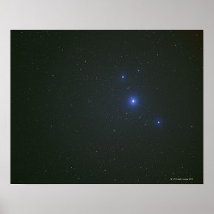 Pôster Estrela