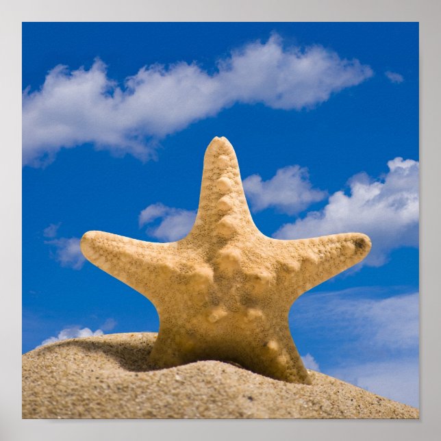 Pôster estrela (Frente)